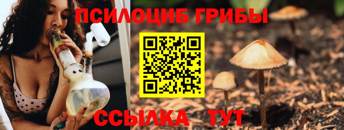 Галлюциногенные грибы мухоморы Салават