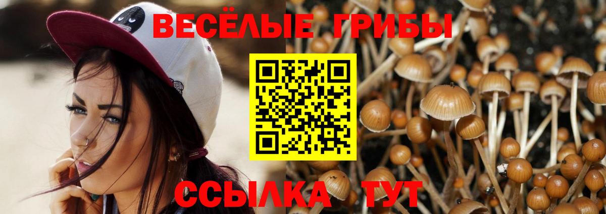 закладка  Вход с VPN  Салават  Псилоцибиновые грибы прущие грибы  Галлюциногенные грибы мицелий 